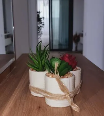 Nena * 那沃达利
